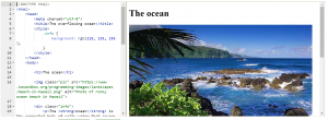 1Ocean
