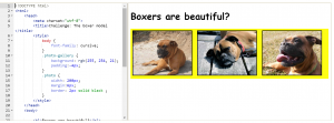 3theboxermodel