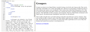 groupers