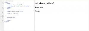 html bssics