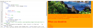 travel webpage
