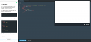 css3